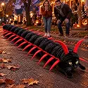 Centipede Cat Costume with 18 3D legs