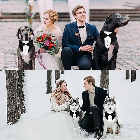 GOYOSWA Dog Tuxedo Suit with Bow Tie